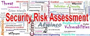 The Multiple facets within the Security Risk Assessment
